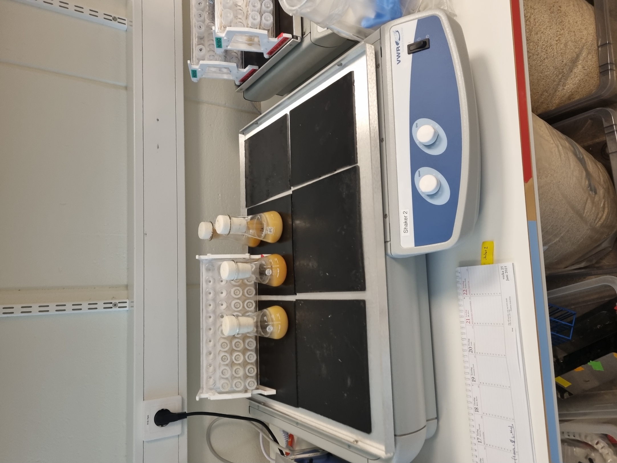 Picture of VWR STD 5000 shaker (Shaker 2)