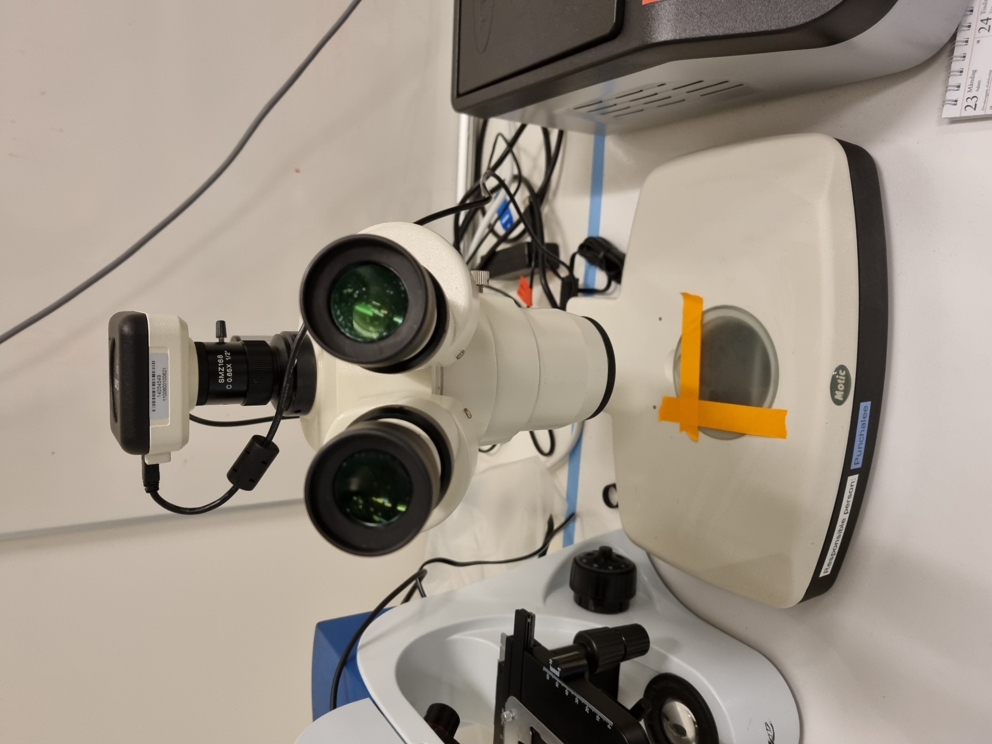 Picture of Stereo microscope